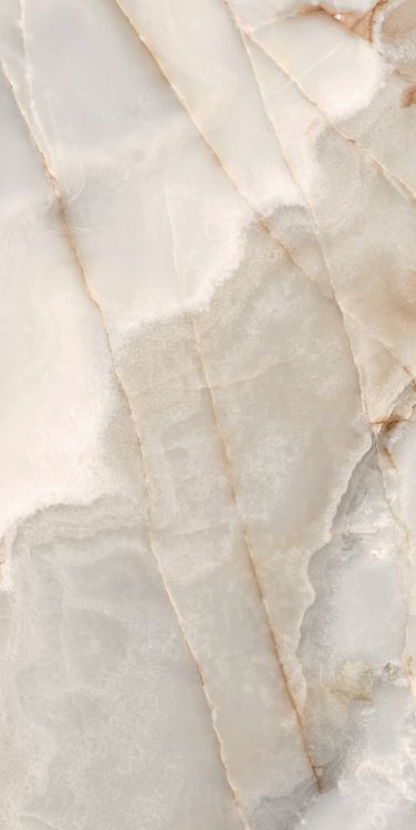 Reves Noisette Matte 24 x 48
